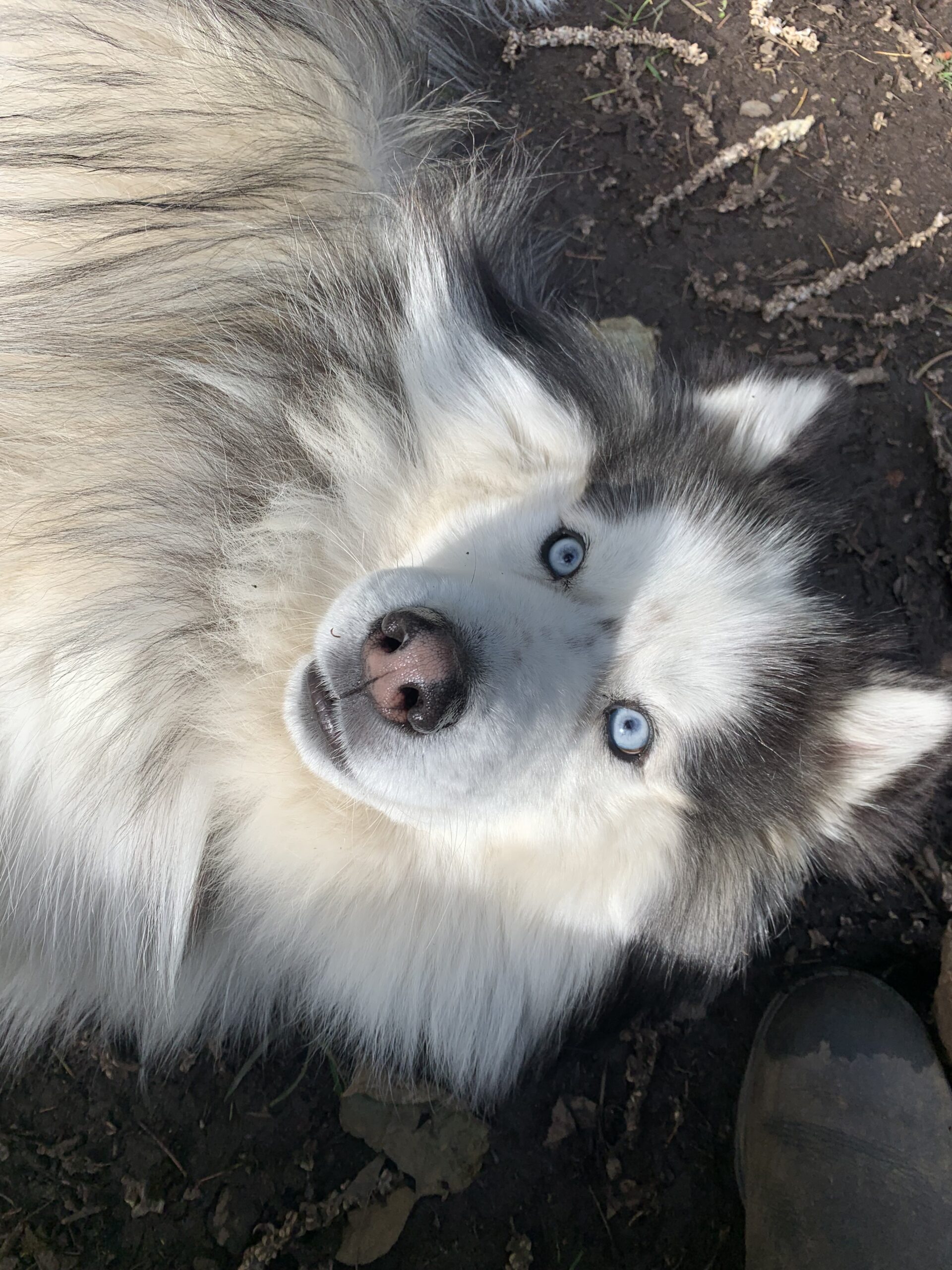 Hello world!